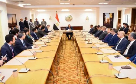 وزير الخارجية يجتمع بأعضاء السلك الدبلوماسى والقنصلى من الدرجات الحديثة والمتوسطة