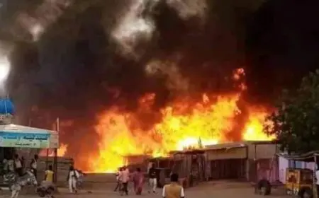 الطيران السودانى يشن 5 غارات جوية على مواقع الدعم السريع فى الفاشر