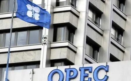 “أوبك” تقرر زيادة إنتاجها تدريجياً اعتباراً من مايو 2025