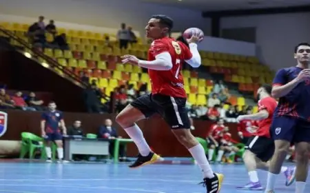 الأهلى يتوج بطلًا لدورى المحترفين لكرة اليد للمرة الـ 26 فى تاريخه