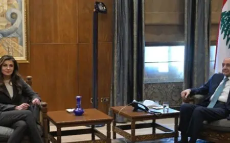 رئيس النواب اللبنانى يبحث مع مسئولة أمريكية التطورات الميدانية والاعتداءات الإسرائيلية