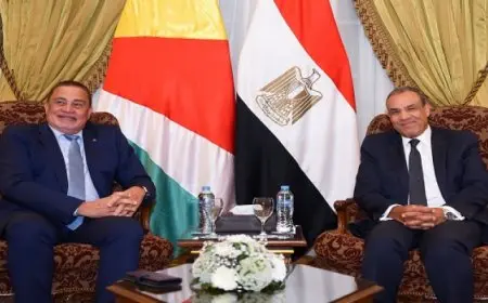 بال .. خلال مباحثاته مع نظيره السيشلى.. عبد العاطي يطالب بوقف العدوان على غزة