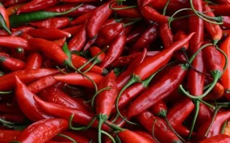 لماذا يجب على الحوامل تناول الفلفل الحار؟ دراسة تجيب
