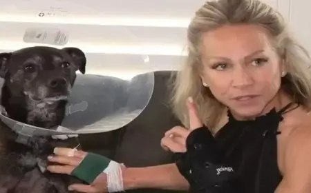 معلمة شجاعة تنقض على تمساح لإنقاذ كلبها من بين فكيه