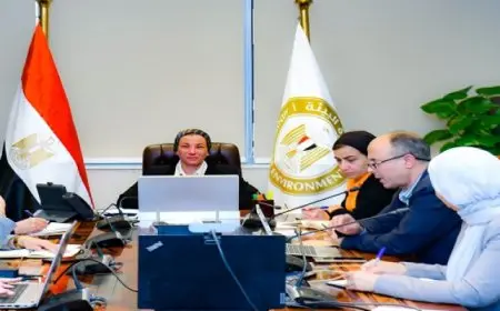 وزيرة البيئة تعقد اجتماعًا للجنة الطيور لمناقشة التأثيرات المحتملة على هجرة الطيور