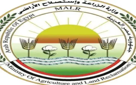 الزراعة: مصر حققت مكانة متقدمة فى صناعة الدواجن