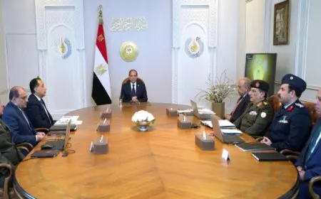 الرئيس السيسى يوجه بتسريع استكمال منظومة التغذية الكهربائية الإضافية لمشروع “الدلتا الجديدة” والقطاع الزراعى