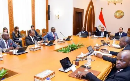 وزير الخارجية: عضوية مصر فى الرابطة الإفريقية تعكس اهتمامها بتطبيق أفضل الممارسات فى إفريقيا