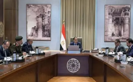 رئيس الوزراء يتابع الموقف التنفيذى لمشروعات المرافق المختلفة لـ “الدلتا الجديدة”
