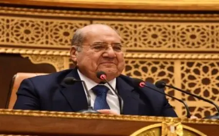 مجلس الشيوخ يستأنف جلساته العامة ويناقش اليوم طلبات بشأن الإفراج الجمركى