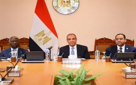 وزير الخارجية يؤكد رفض مصر الكامل للعدوان الإسرائيلى على قطاع غزة والضفة الغربية