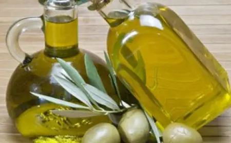 دراسة تكشف فوائد زيت الزيتون البكر فى تسكين الألم