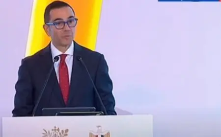 وزير الاستثمار: فرنسا شريك استراتيجى لمصر على المستويين الاستثمارى والتجارى