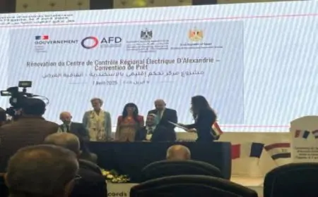 مصر وفرنسا توقعان على عدد من بروتوكولات التعاون فى مجالى الصحة والنقل