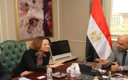 وزير الكهرباء يبحث مع وفد مجموعة E D F الفرنسية تعزيز التعاون فى مجالات الطاقات المتجددة