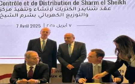 وزير الكهرباء يشهد توقيع عدد من الاتفاقيات مع الجانب الفرنسى فى مجالات الكهرباء والطاقة المتجددة