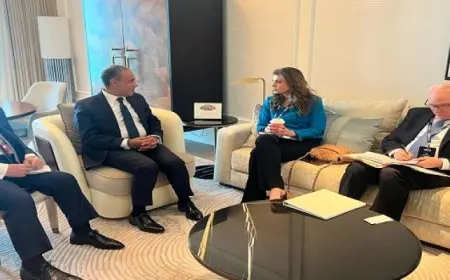 وزير الخارجية يؤكد أهمية استعادة الهدوء وتثبيت اتفاق وقف إطلاق النار فى قطاع غزة