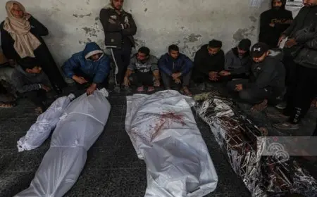 فتح: إسرائيل قدمت نموذجا للإرهاب والقتل والتطهير العرقى بحق الشعب الفلسطينى