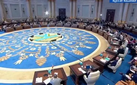 إنطلاق أعمال الموتمر الوزارى الثانى لـ “عملية الخرطوم” بالقاهرة برئاسة وزير الخارجية