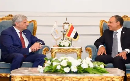 وزير الخارجية يثمن التعاون القائم والمتنامى بين مصر والمركز الدولى لتطوير سياسات الهجرة