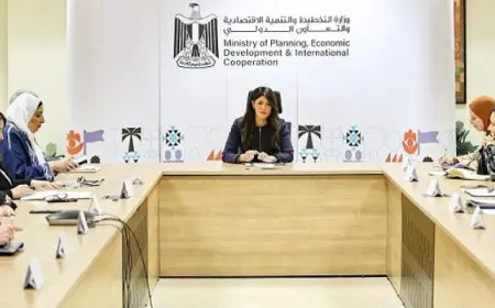 المشاط تترأس اجتماعًا تحضيريًا للجنة المصرية المجرية المشتركة للتعاون الاقتصادى والعلمى والفنى