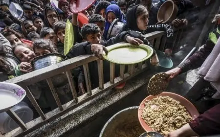 مسؤولة دولية تحذر من كارثية الواقع الإنساني في قطاع غزة