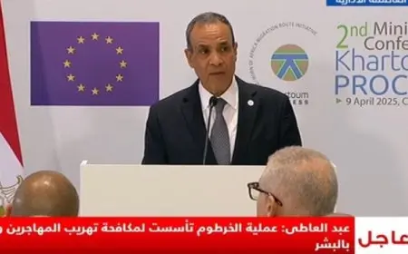 وزير الخارجية: مصر نجحت فى القضاء على ظاهرة الهجرة غير الشرعية