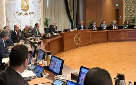 مدبولى: كلفت وزراء المجموعة الاقتصادية بوضع سيناريوهات لضمان استقرار الأوضاع الاقتصادية وتحفيز مناخ الاستثمار