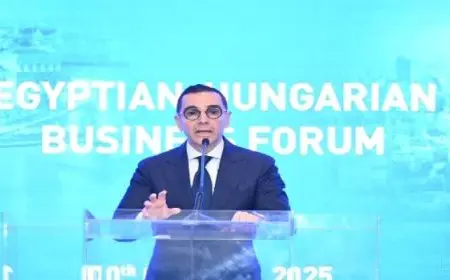 وزارة الاستثمار تستضيف فعاليات منتدى الأعمال المصرى المجرى