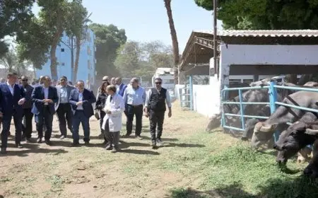 رئيس الوزراء يتفقد محطة الثروة الحيوانية بقرية “الحمام” بمركز أبنوب بأسيوط