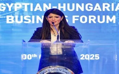 خلال مشاركتها فى منتدى الأعمال المصرى المجرى.. المشاط: العلاقات بين البلدين تشهد تطورًا متناميًا