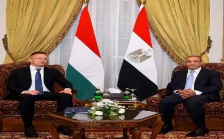 عبد العاطى يؤكد رفض مصر الكامل للعدوان الإسرائيلى على غزة ومنع نفاذ المساعدات الإنسانية والإيوائية