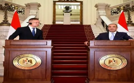 وزير الخارجية يشيد بالعلاقات الوثيقة بين مصر والمجر