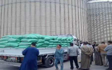 “التموين”: سعر توريد الأردب من القمح المحلى هذا العام قد تحدد بقيمة 2200 جنيهًا