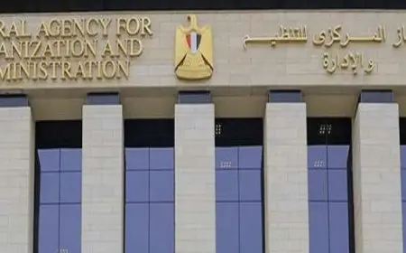 قرار جمهورى بتكليف حاتم نبيل بالقيام بأعمال رئيس الجهاز المركزى للتنظيم والإدارة لمدة عام