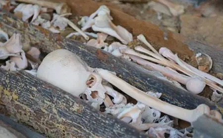 فرنسا تعيد رفات بشرية إلى مدغشقر بعد مرور أكثر من قرن