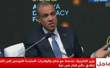 وزير الخارجية: نضغط مع قطر وأمريكا للتوصل إلى وقف دائم لإطلاق النار فى غزة