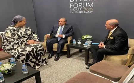 وزير الخارجية: الملف الليبى يمثل أولوية للأمن القومى ولمصالح مصر كدولة جوار مباشر