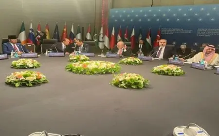 عبد العاطى أمام اجتماع اللجنة العربية الإسلامية حول غزة: نرفض أى محاولة لتعديل الواقع الديموغرافى لغزة