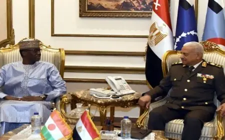بال وال.. وزير الدفاع ونظيره النيجرى يناقشان التطورات الإقليمية والدولية