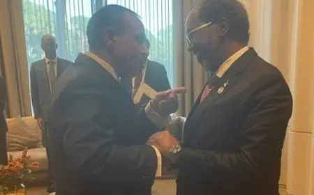 وزير الخارجية يثمن للرئيس الصومالى العلاقات التاريخية والأخوية التى تجمع البلدين الشقيقين