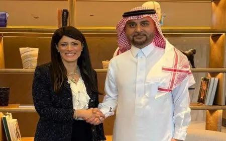 المشاط تبحث مع مدير صندوق «أوبك» للتنمية الدولية التوسع فى تمويل القطاع الخاص لزيادة الاستثمارات