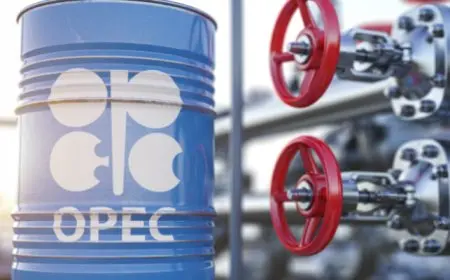إنتاج أوبك+ من النفط يبلغ أعلى مستوى له منذ 8 أشهر قبل بدء خطط زيادة الإنتاج