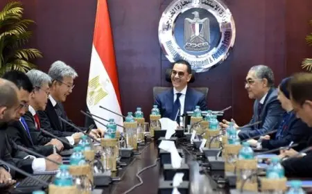 وزير الاستثمار: الشركات اليابانية لديها فرصة كبيرة للاستفادة من الفرص الاستثمارية المتاحة في مصر