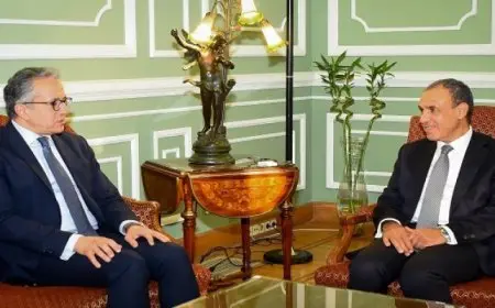 وزير الخارجية يستقبل المرشح المصرى لمنصب مدير عام منظمة اليونسكو