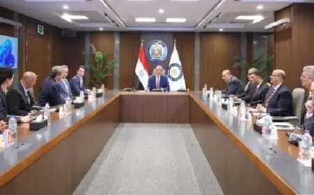 وزير البترول يبحث مع وفد أمريكى التعاون فى الطاقة المتجددة والبنية التحتية الذكية