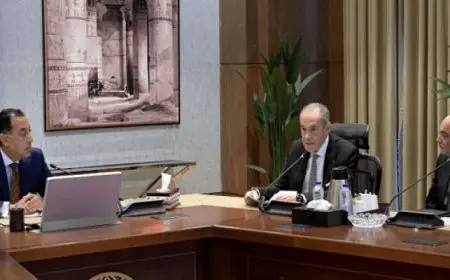 رئيس الوزراء يستعرض ومجموعة “المن للسيارات” خطط إنشاء مصنع بأكتوبر الجديدة