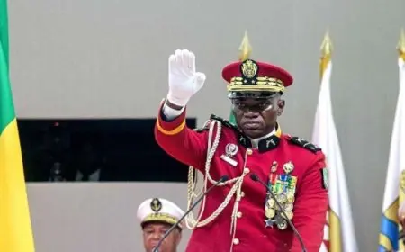 بريس نجيما يفوز بالرئاسة فى الجابون بنسبة 90 بالمائة من أصوات الناخبين