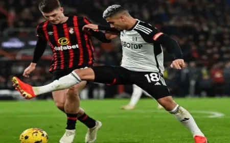 مواجهة نارية بين بورنموث وفولهام فى البريميرليج مواجهة نارية الليلة