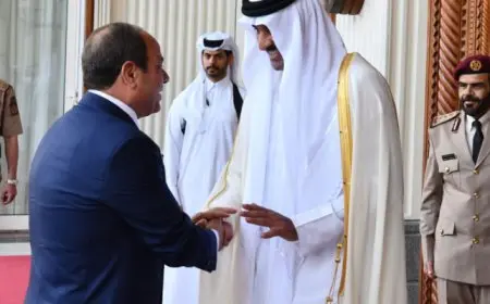 أمير قطر: بحثت مع الرئيس السيسى مواصلة الجهود لدعم الأشقاء فى فلسطين وإرساء الأمن والسلام